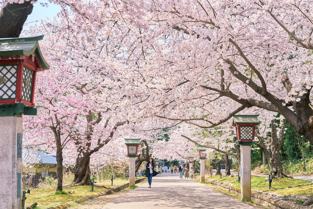 彌彥公園